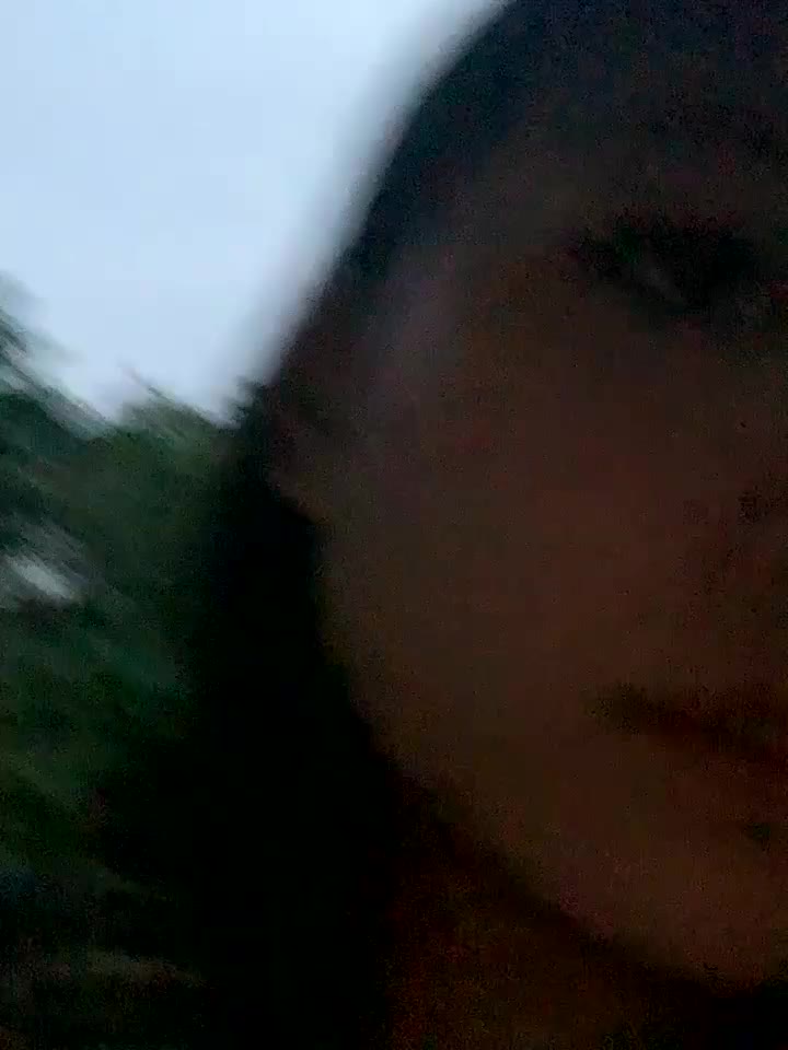 taotao_19
